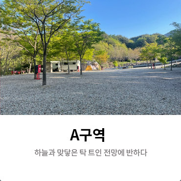 A구역